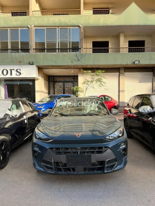 كوبرا تيرامار 2026 أخضر جديدة للبيع - 1