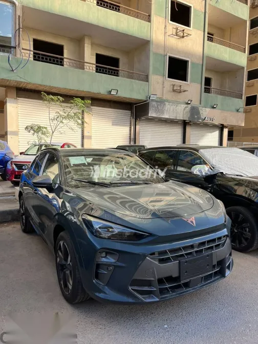 كوبرا تيرامار 2026 أخضر جديدة للبيع - 3