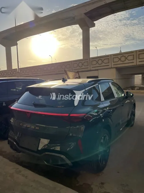 كوبرا تيرامار 2026 أخضر جديدة للبيع - 4