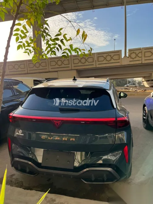 كوبرا تيرامار 2026 أخضر جديدة للبيع - 6