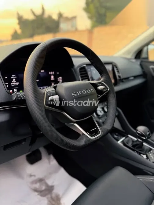 Skoda Karoq 2026 Silver New for Sale - 7