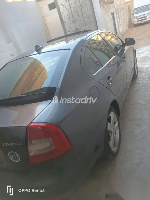 سكودا فانتازيا 2013 فضي مستعملة للبيع - 5