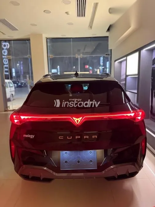 كوبرا تيرامار 2025 أسود جديدة للبيع - 2