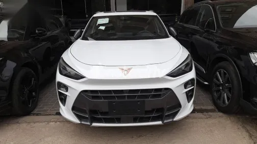 Cupra Terramar 2025 White New for Sale - 1