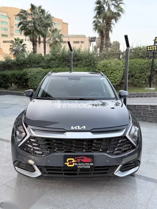 كيا سبورتاج 2025 أخضر جديدة للبيع - 5