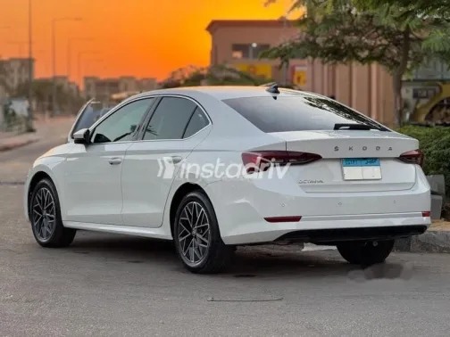 سكودا اوكتافيا 2024 أبيض مستعملة للبيع - 2