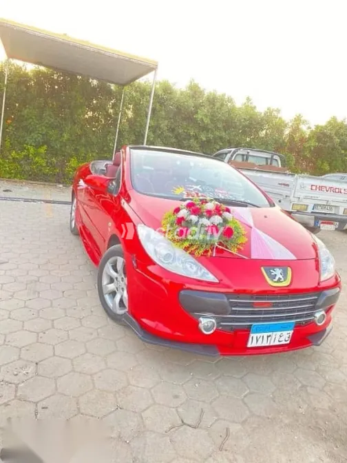 Peugeot 307 2005 Red Used for Sale - 1