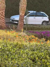 Seat Ibiza 1994 White Used for Sale