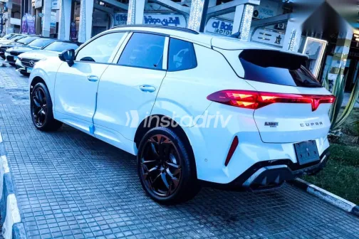 كوبرا تيرامار 2026 أبيض جديدة للبيع - 2