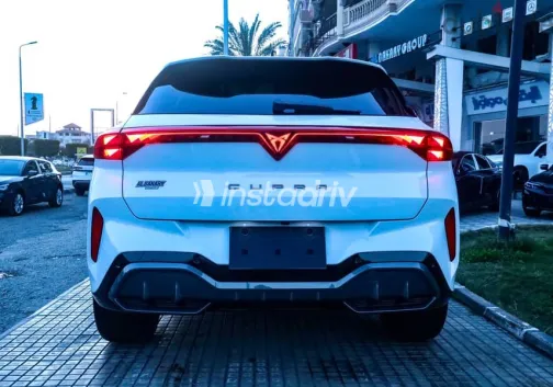 كوبرا تيرامار 2026 أبيض جديدة للبيع - 5