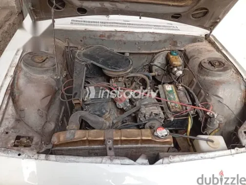 بيجو 504 1977 أبيض مستعملة للبيع - 7