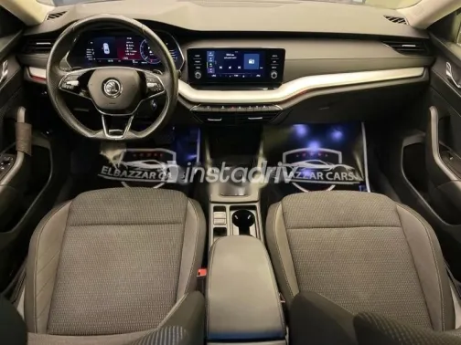 سكودا اوكتافيا 2024 رمادي مستعملة للبيع - 5