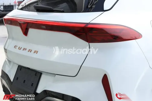 كوبرا تيرامار 2025 أبيض جديدة للبيع - 7