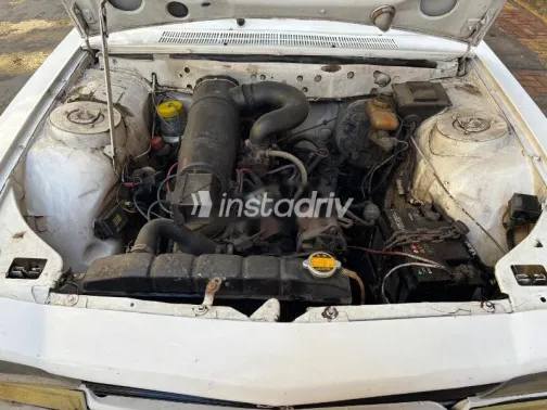 بيجو 504 1979 أبيض مستعملة للبيع - 1