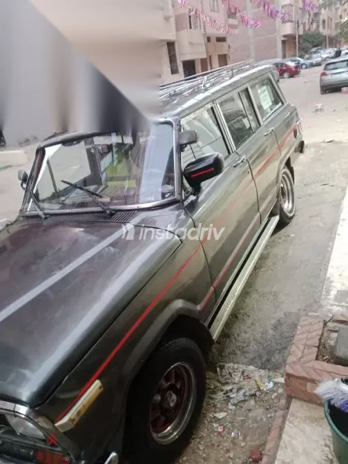 جيب واجونير 1987 بني مستعملة للبيع - 6