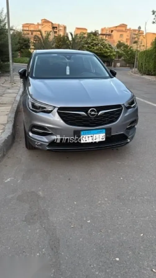 اوبل جراند لاند 2020 رمادي مستعملة للبيع - 1