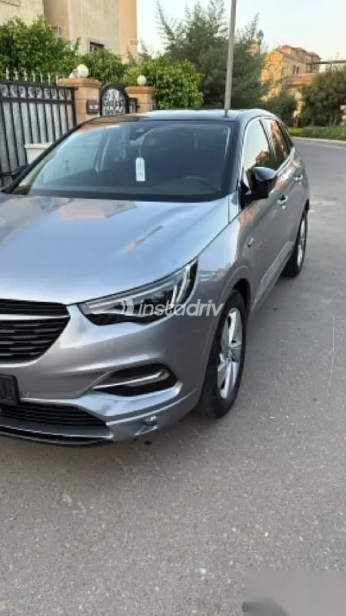 اوبل جراند لاند 2020 رمادي مستعملة للبيع - 2