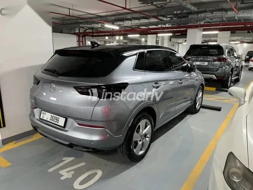 اوبل جراند لاند 2020 رمادي مستعملة للبيع - 5