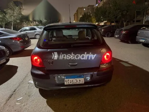 Peugeot 307 2007 Gray Used for Sale - 6