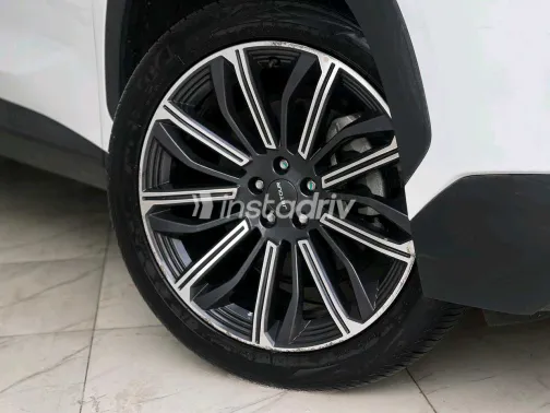 جيتور داشينج 2025 أبيض مستعملة للبيع - 4