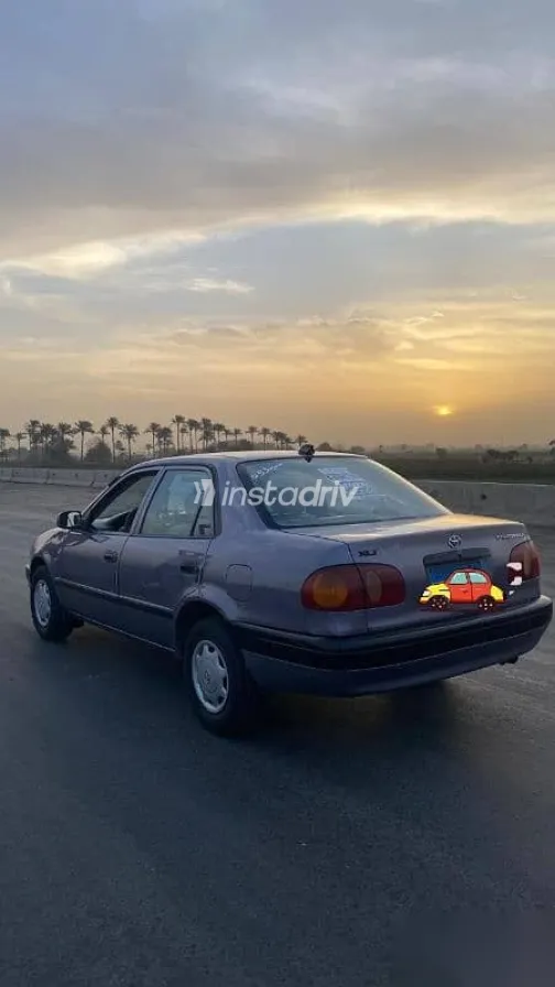 Toyota Corolla 1998 White Used for Sale - 3