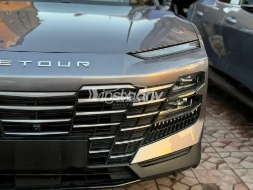 جيتور داشينج 2026 رمادي مستعملة للبيع - 2