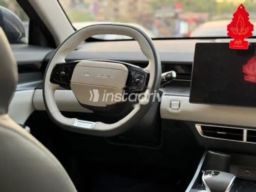 جيتور داشينج 2026 رمادي مستعملة للبيع - 3