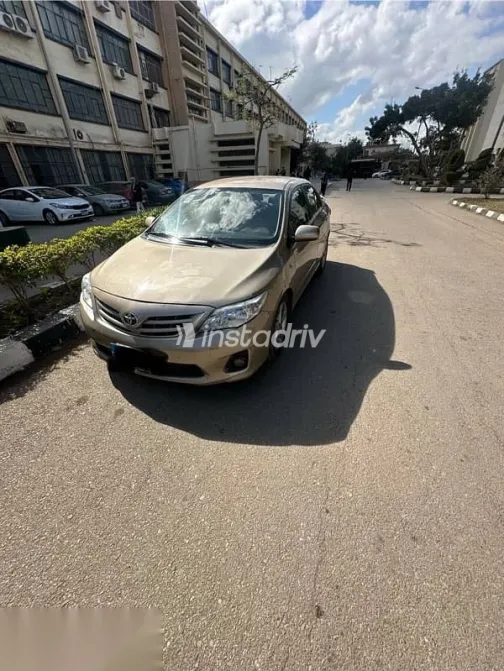 Toyota Corolla 2011 Gold Used for Sale - 2