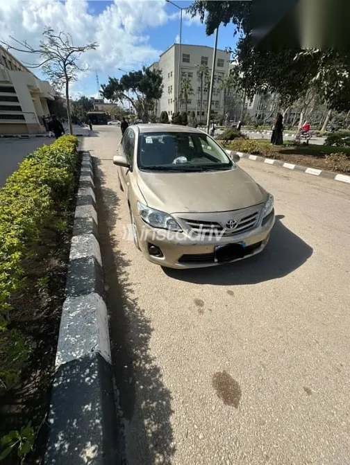 Toyota Corolla 2011 Gold Used for Sale - 4