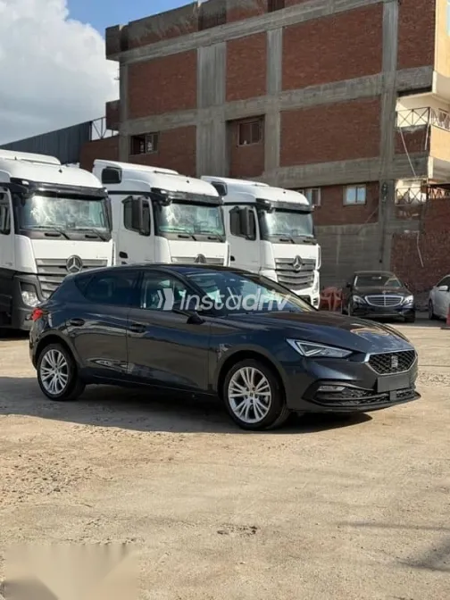 سيات ليون 2024 رمادي مستعملة للبيع - 1