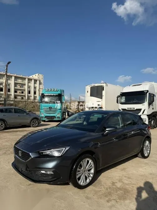 سيات ليون 2024 رمادي مستعملة للبيع - 2