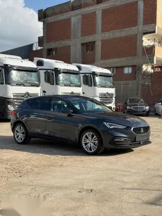 سيات ليون 2024 رمادي مستعملة للبيع