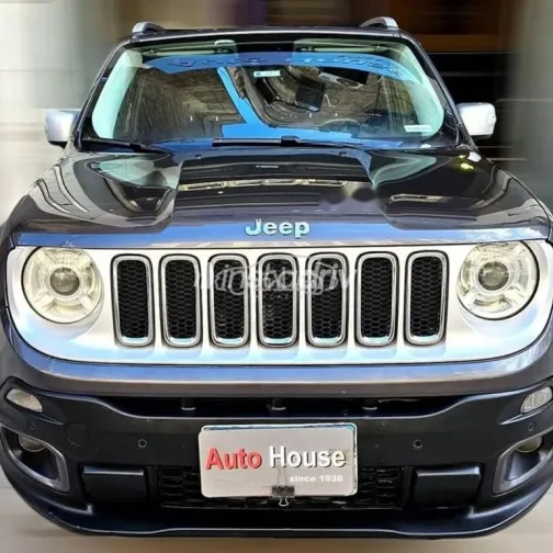 جيب رينيجيد 2017 رمادي مستعملة للبيع - 1