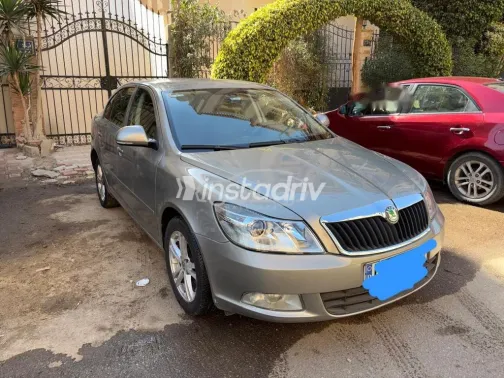 سكودا فانتازيا 2010 ذهبي مستعملة للبيع - 1