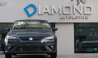 Seat Ibiza 2026 Gray New for Sale