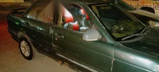 Nissan Sunny 1994 Green Used for Sale