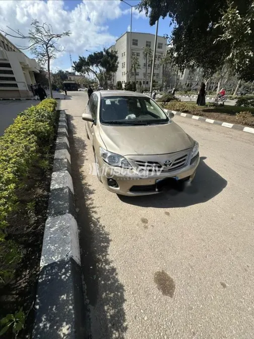 تويوتا كورولا 2011 ذهبي مستعملة للبيع - 5