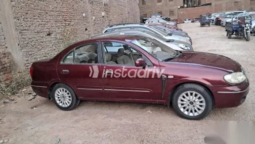 Nissan Sunny 2008 Burgundy Used for Sale - 3