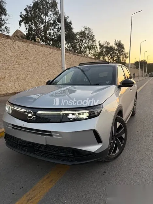 اوبل جراند لاند 2025 فضي مستعملة للبيع - 2