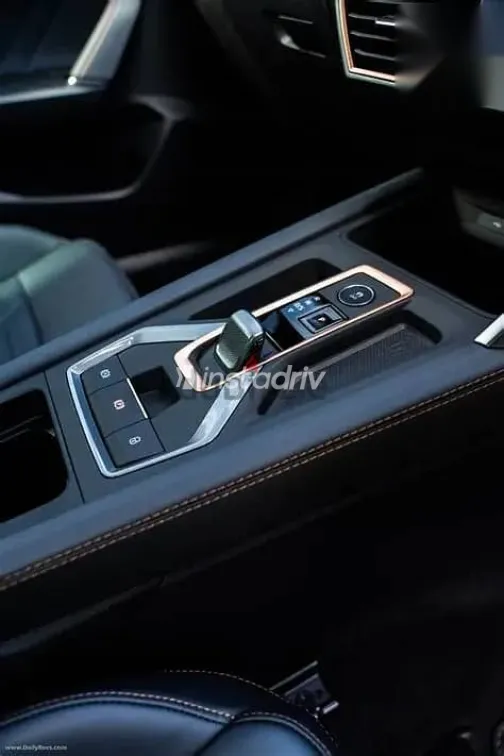 كوبرا ليون 2026 رمادي جديدة للبيع - 3