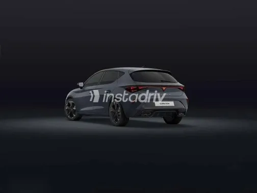 كوبرا ليون 2026 رمادي جديدة للبيع - 4