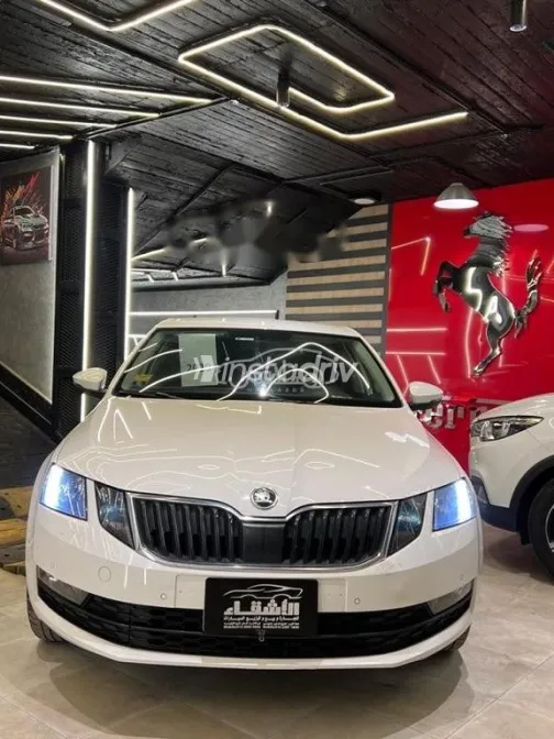 سكودا اوكتافيا 2020 أبيض مستعملة للبيع - 1