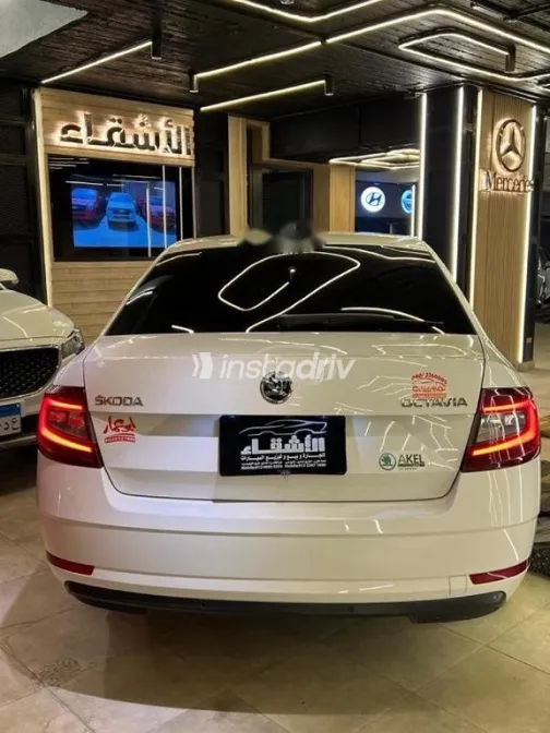 سكودا اوكتافيا 2020 أبيض مستعملة للبيع - 2