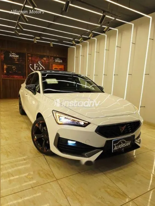 كوبرا ليون 2024 أبيض مستعملة للبيع - 2