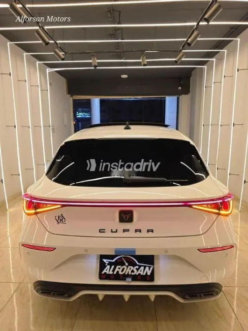 كوبرا ليون 2024 أبيض مستعملة للبيع - 3