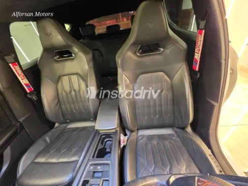 كوبرا ليون 2024 أبيض مستعملة للبيع - 4