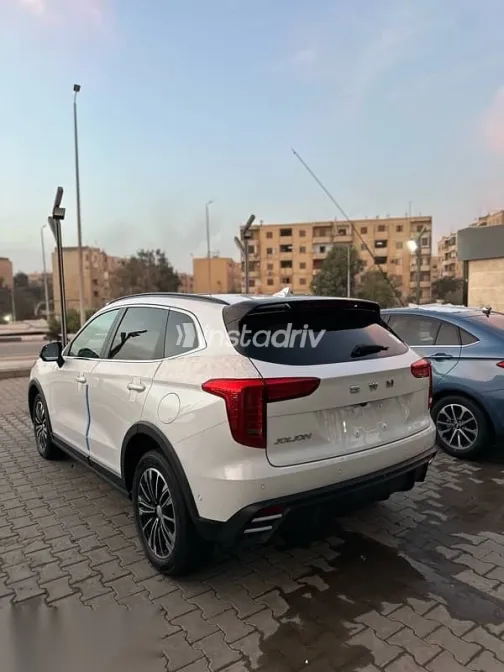 هافال جوليان 2026 أبيض جديدة للبيع - 4