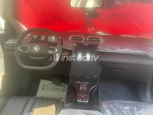 دونج فنج ماجي 2026 أخضر جديدة للبيع - 6