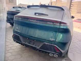 دونج فنج ماجي 2026 أخضر جديدة للبيع