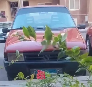 فيات اونو 1990 أحمر مستعملة للبيع